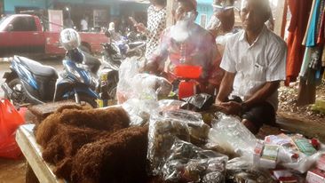 Tawaran Kerja di Perusahaan Sepatu