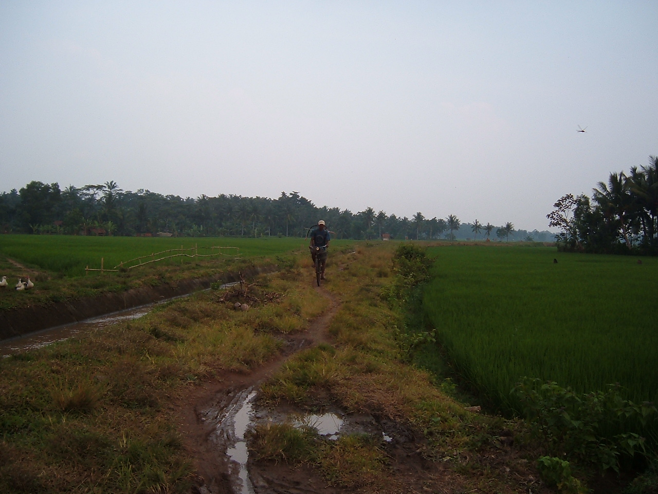 Tolong Lestarikan Perang di Kampung Kami