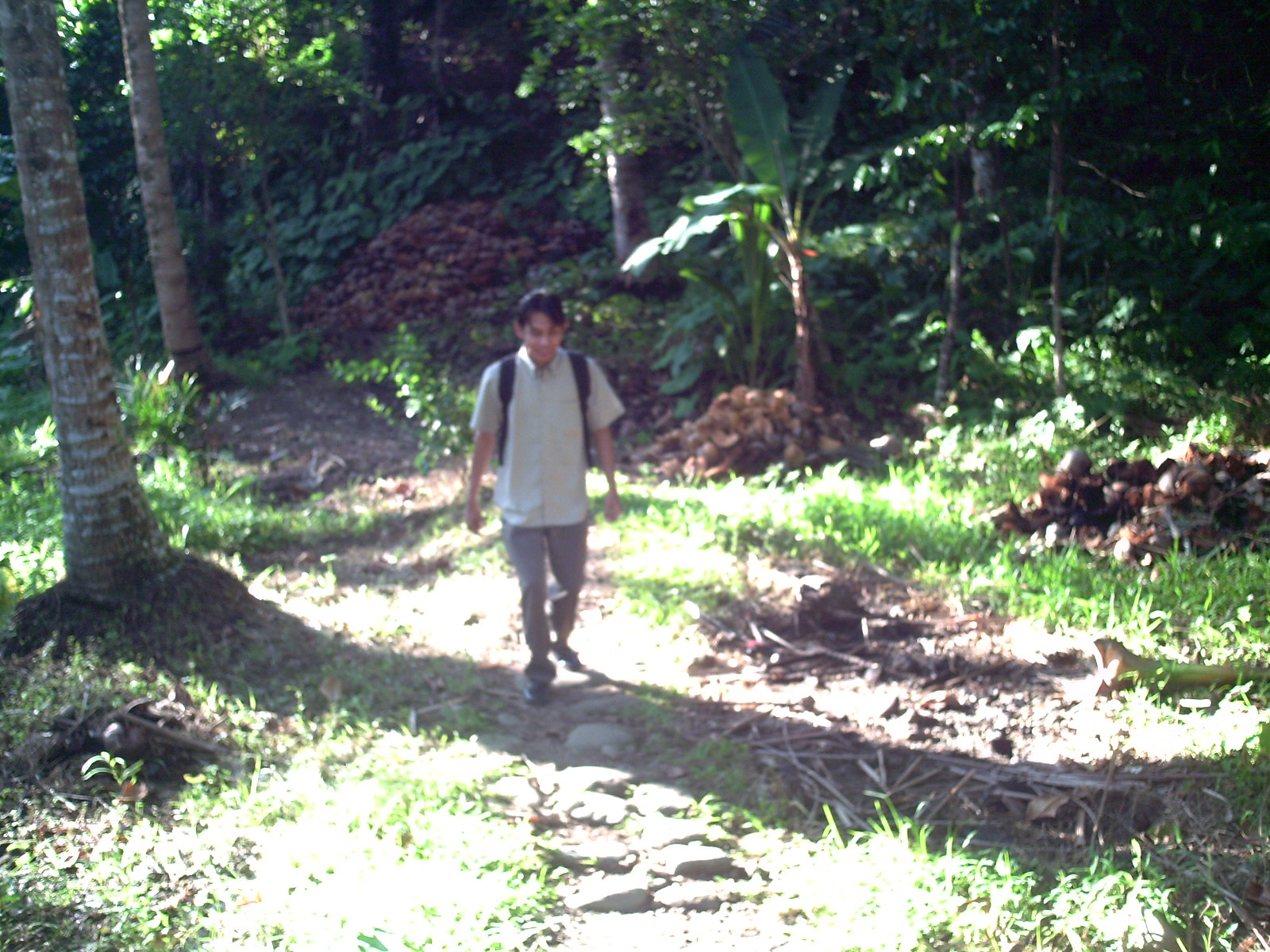 Spontaneous Settlement